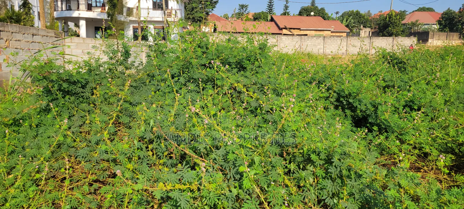 Titled Land for Sale in Buddo 110 Metres Off Masaka Road