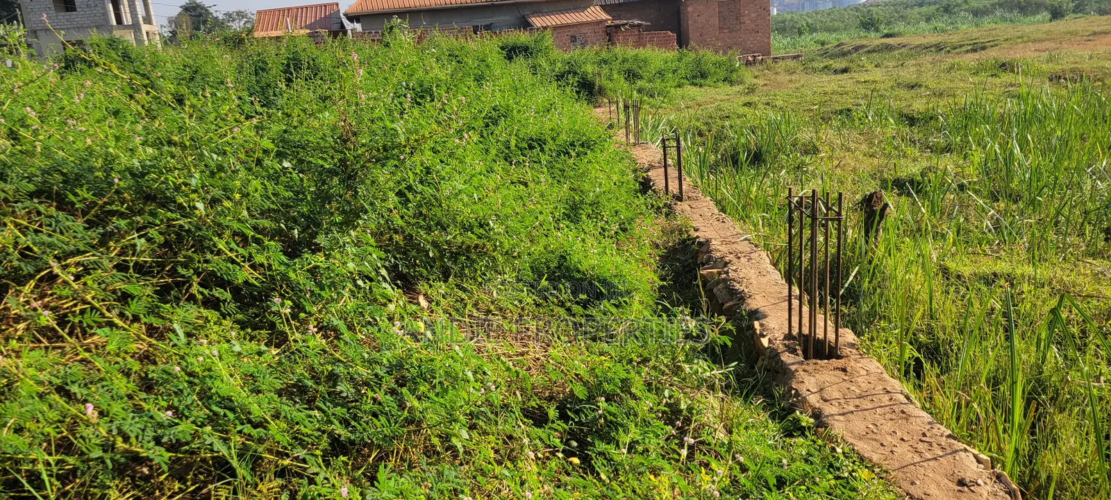 Titled Land for Sale in Buddo 110 Metres Off Masaka Road