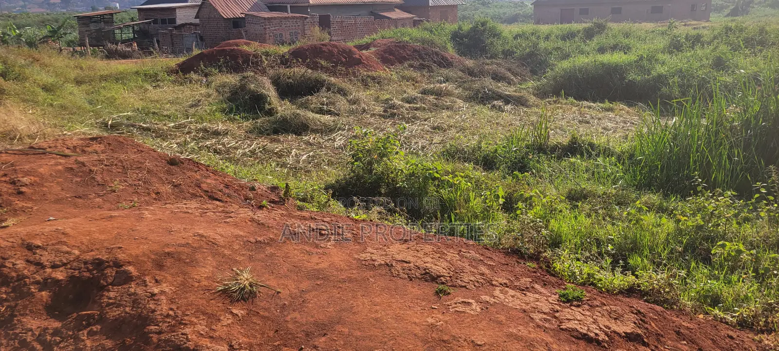 Titled Land for Sale in Buddo 110 Metres Off Masaka Road
