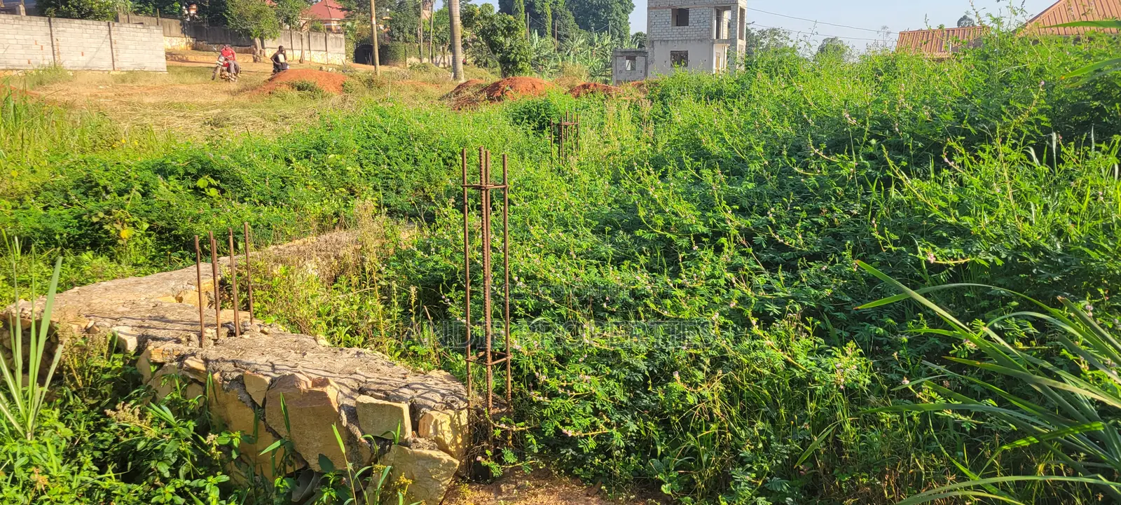 Titled Land for Sale in Buddo 110 Metres Off Masaka Road