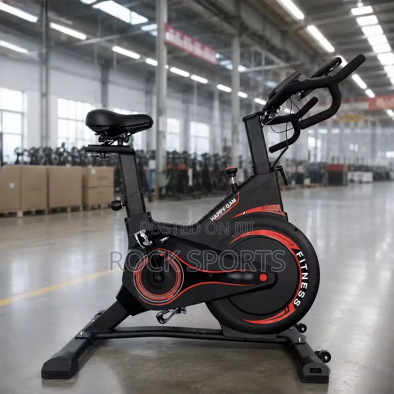 Professional Cardio Gym Bike