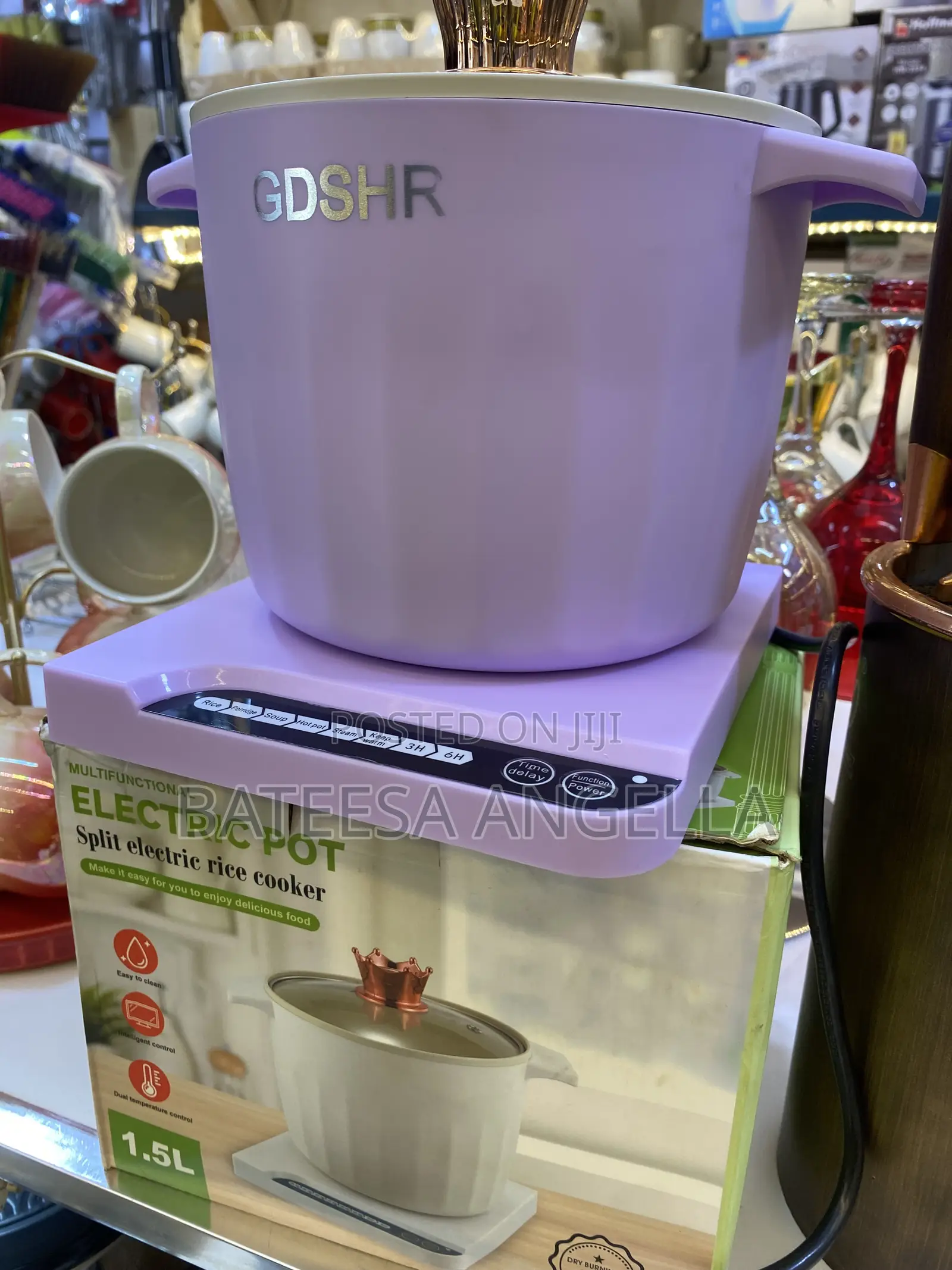Electric Pot