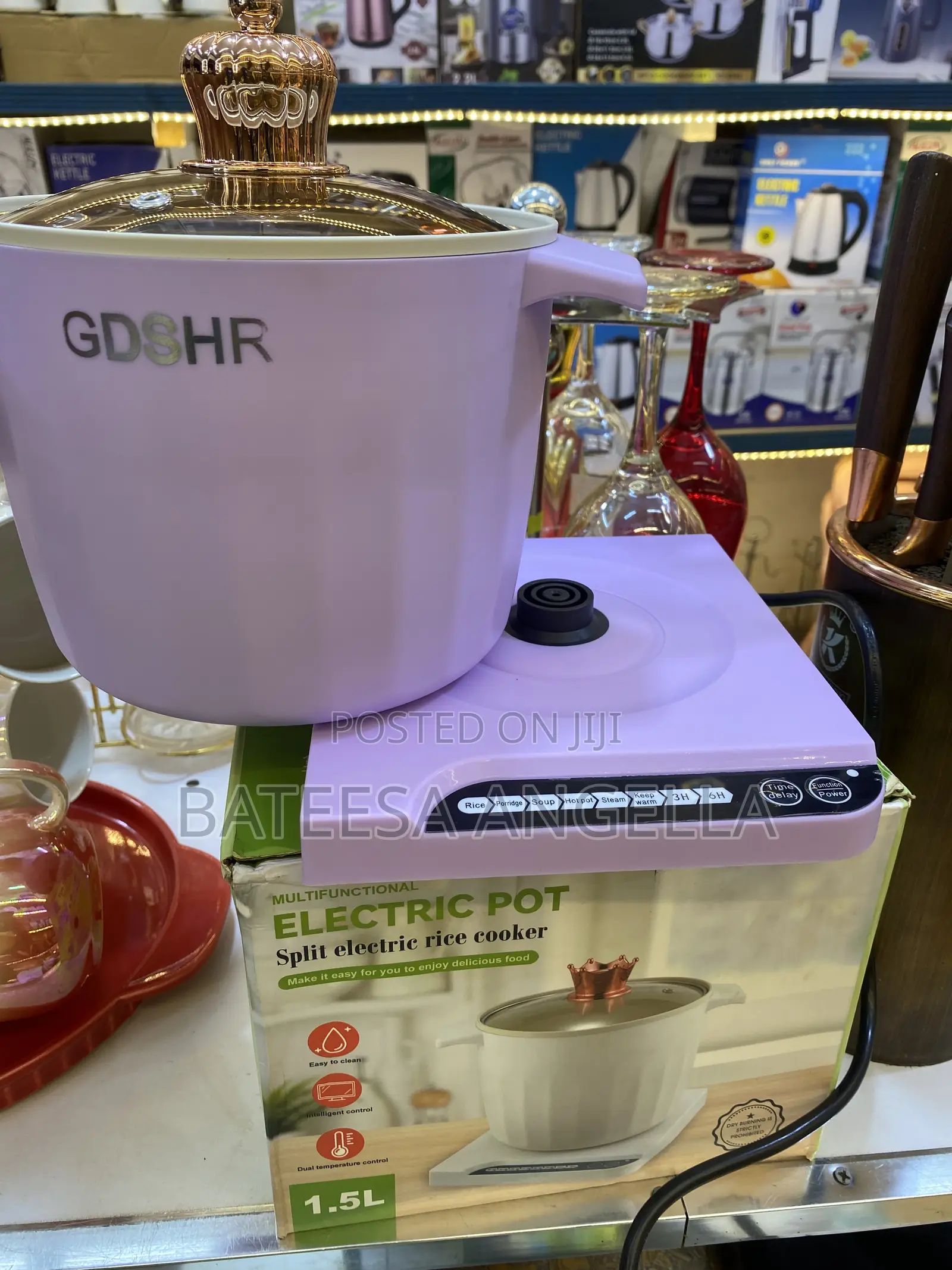Electric Pot