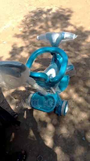 Stylish Tri Cycle