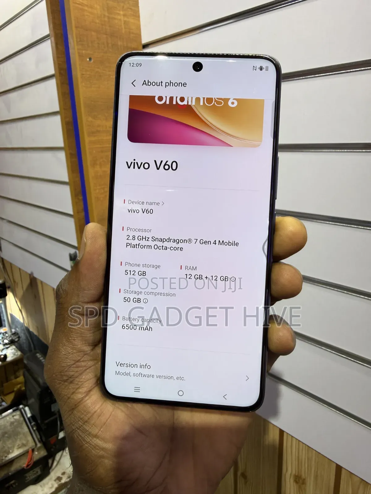 Vivo V60 512 GB