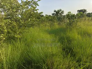 Fertile Farmland