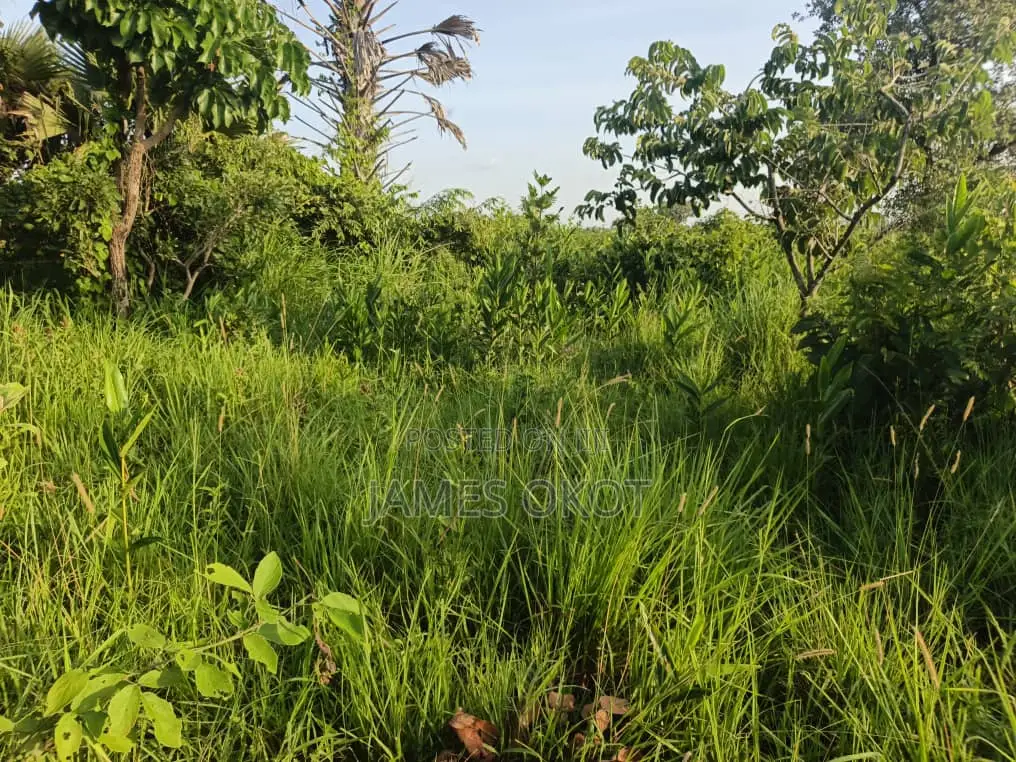 Fertile Farmland
