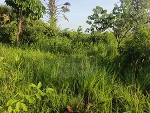 Fertile Farmland
