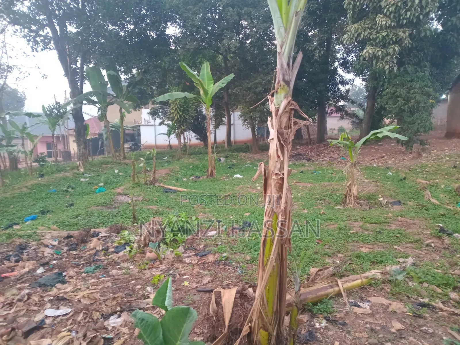 Plot for Sale Masanafu/ Lugala
