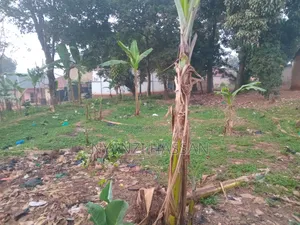 Plot for Sale Masanafu/ Lugala