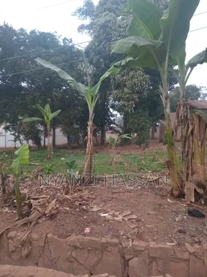 Plot for Sale Masanafu/ Lugala