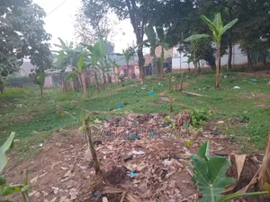 Plot for Sale Masanafu/ Lugala