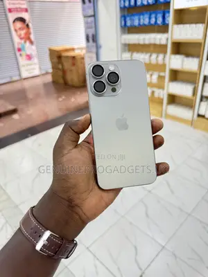 Apple iPhone 15 Pro Max 512 GB Silver