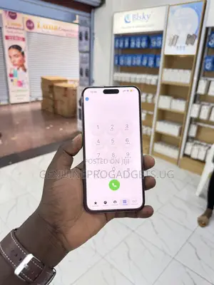 Apple iPhone 15 Pro Max 512 GB Silver