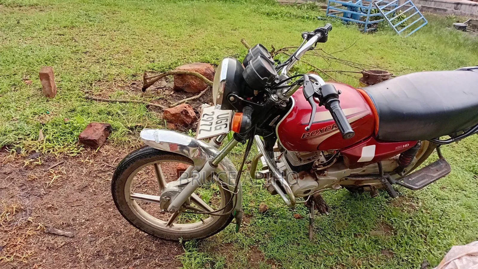 Bajaj Boxer 2024 Red