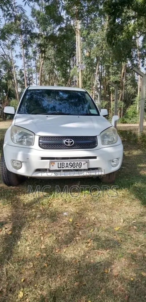 Toyota RAV4 Automatic 2003 White