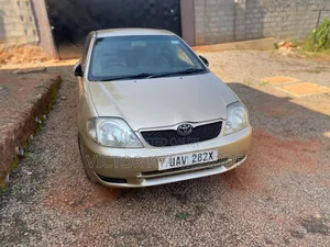 Toyota Allex 2005 Gold