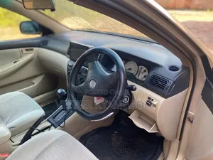 Toyota Allex 2005 Gold