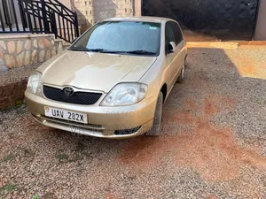 Toyota Allex 2005 Gold