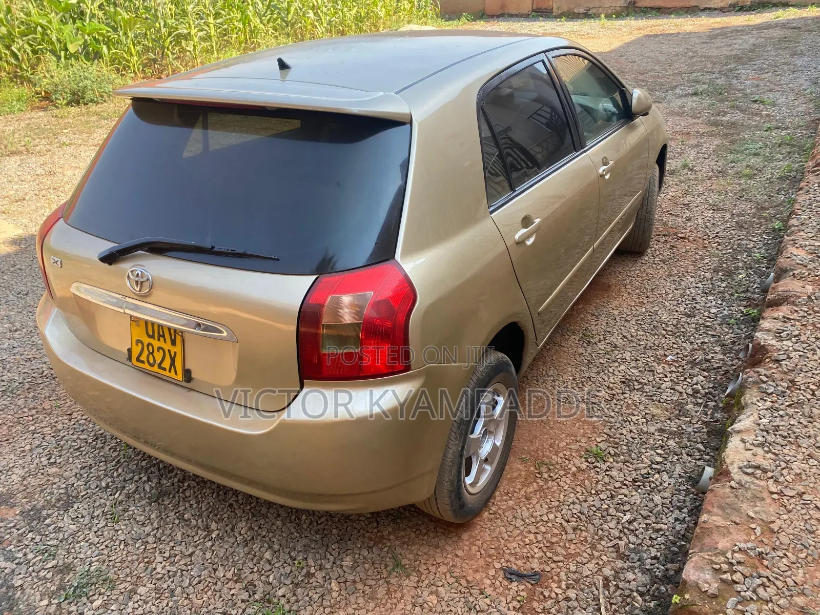 Toyota Allex 2005 Gold