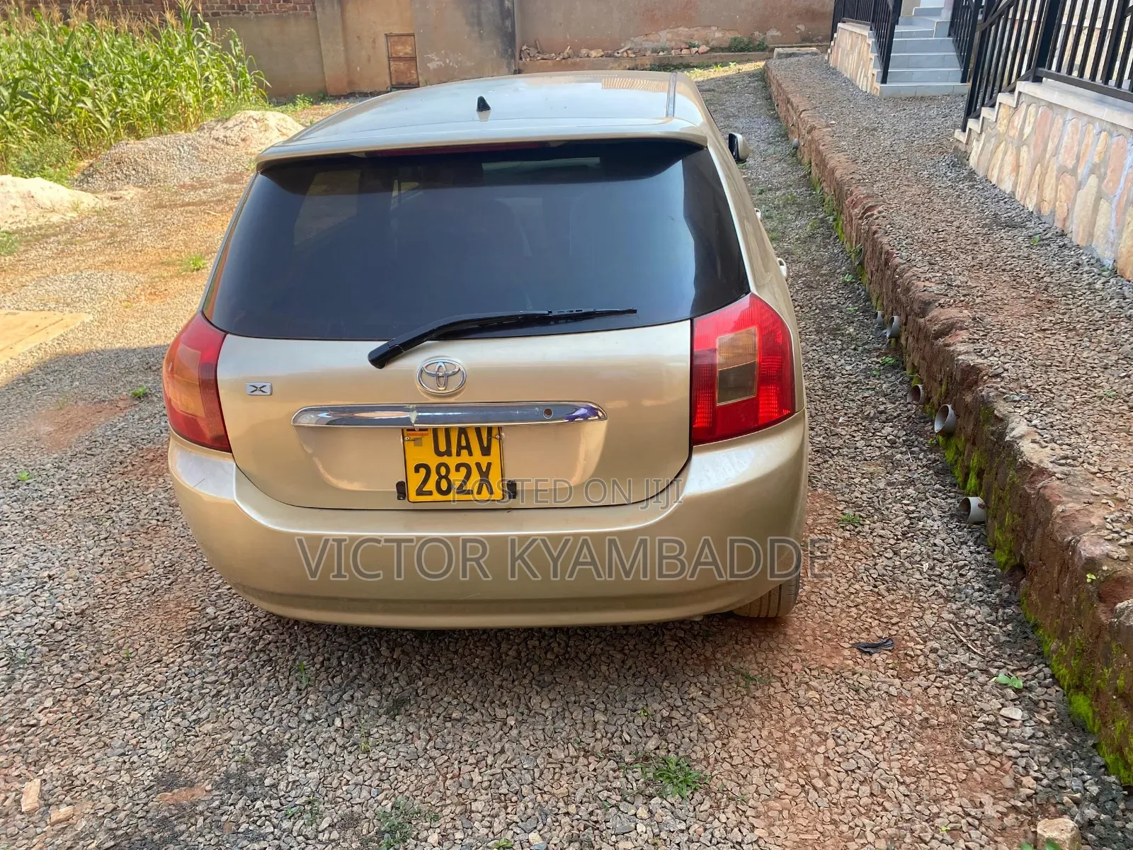 Toyota Allex 2005 Gold