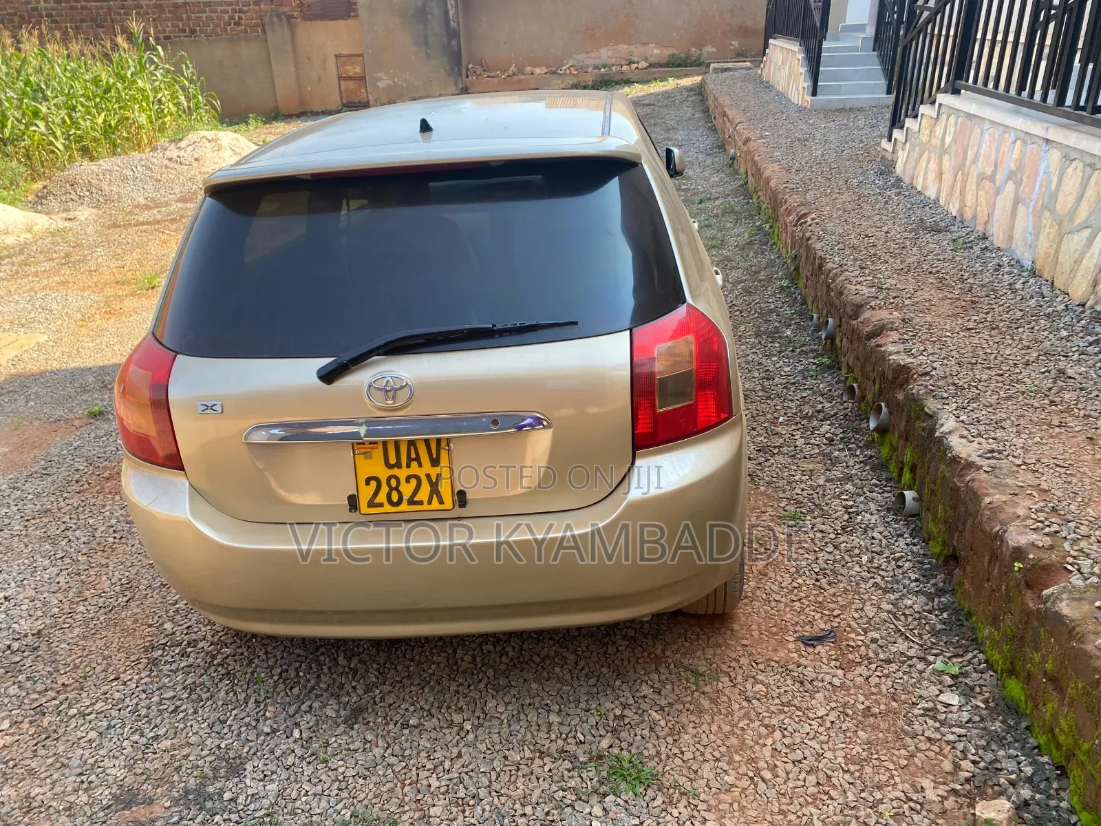 Toyota Allex 2005 Gold