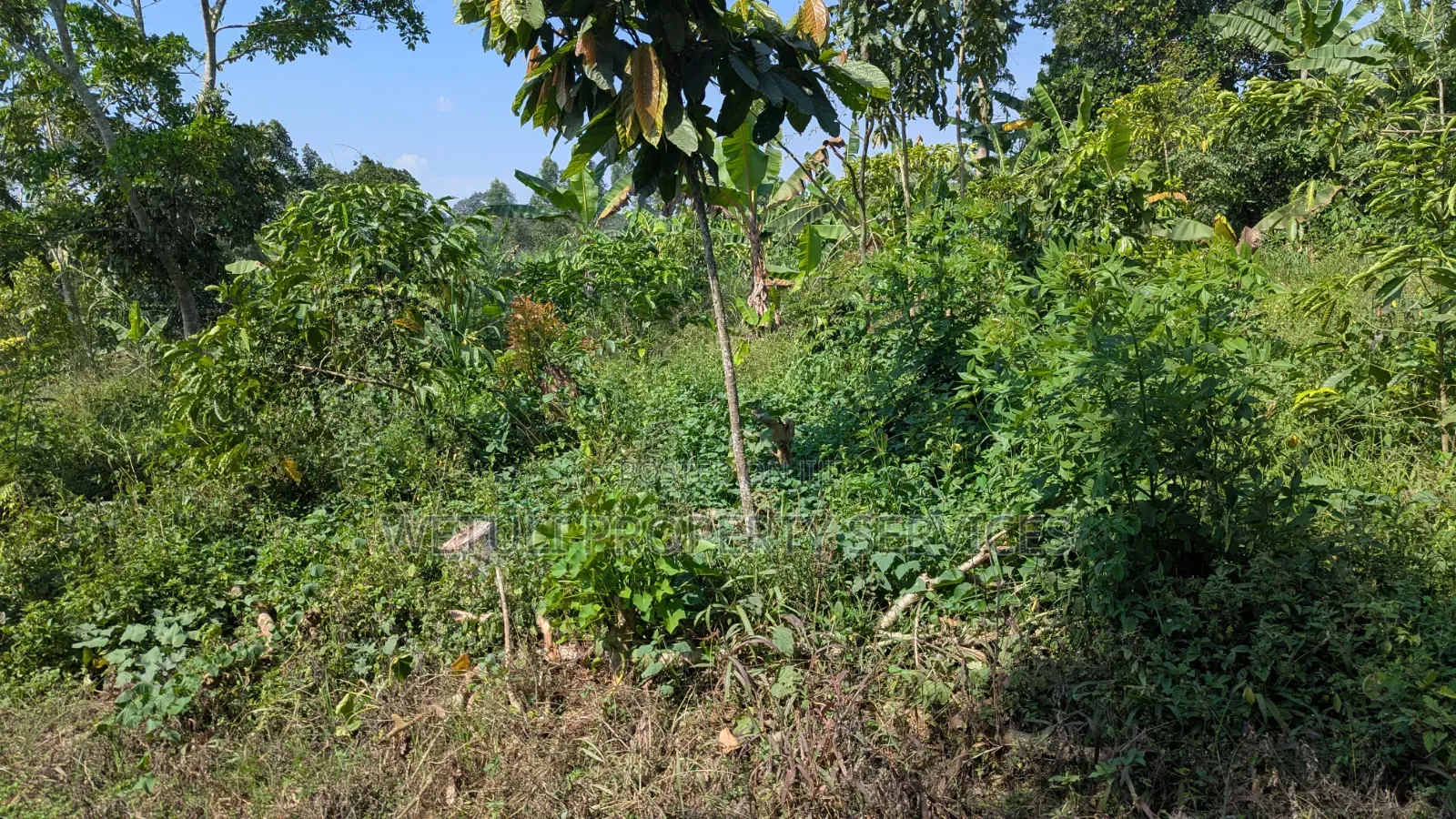 7 Acres of Farm Land for Sale