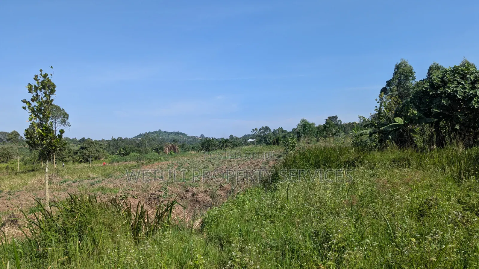 7 Acres of Farm Land for Sale
