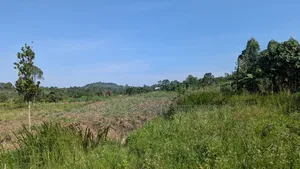 7 Acres of Farm Land for Sale