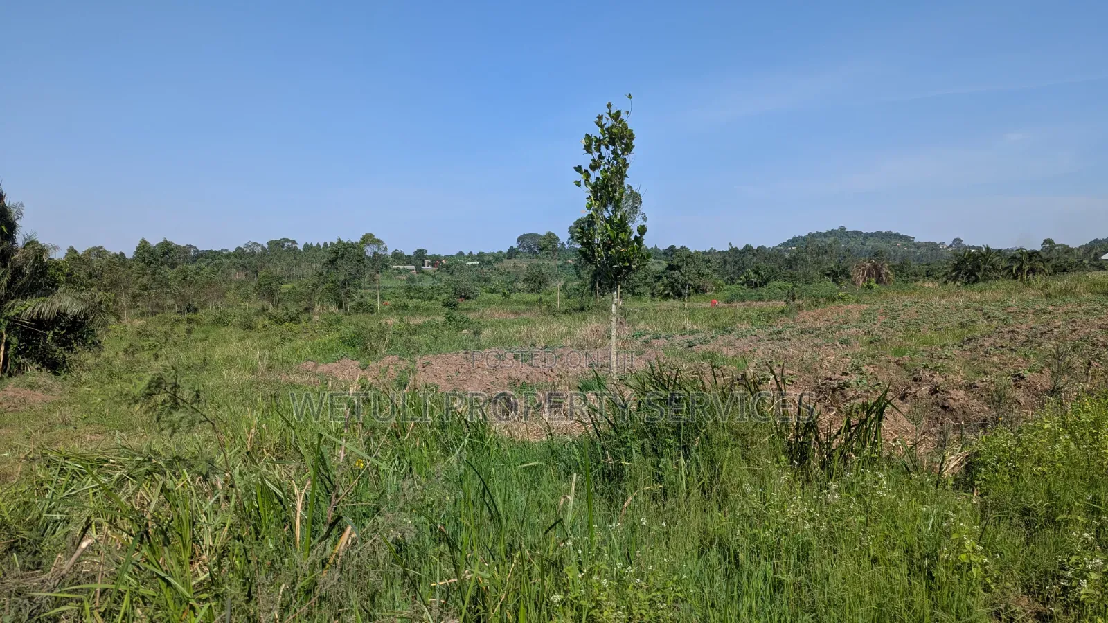 7 Acres of Farm Land for Sale