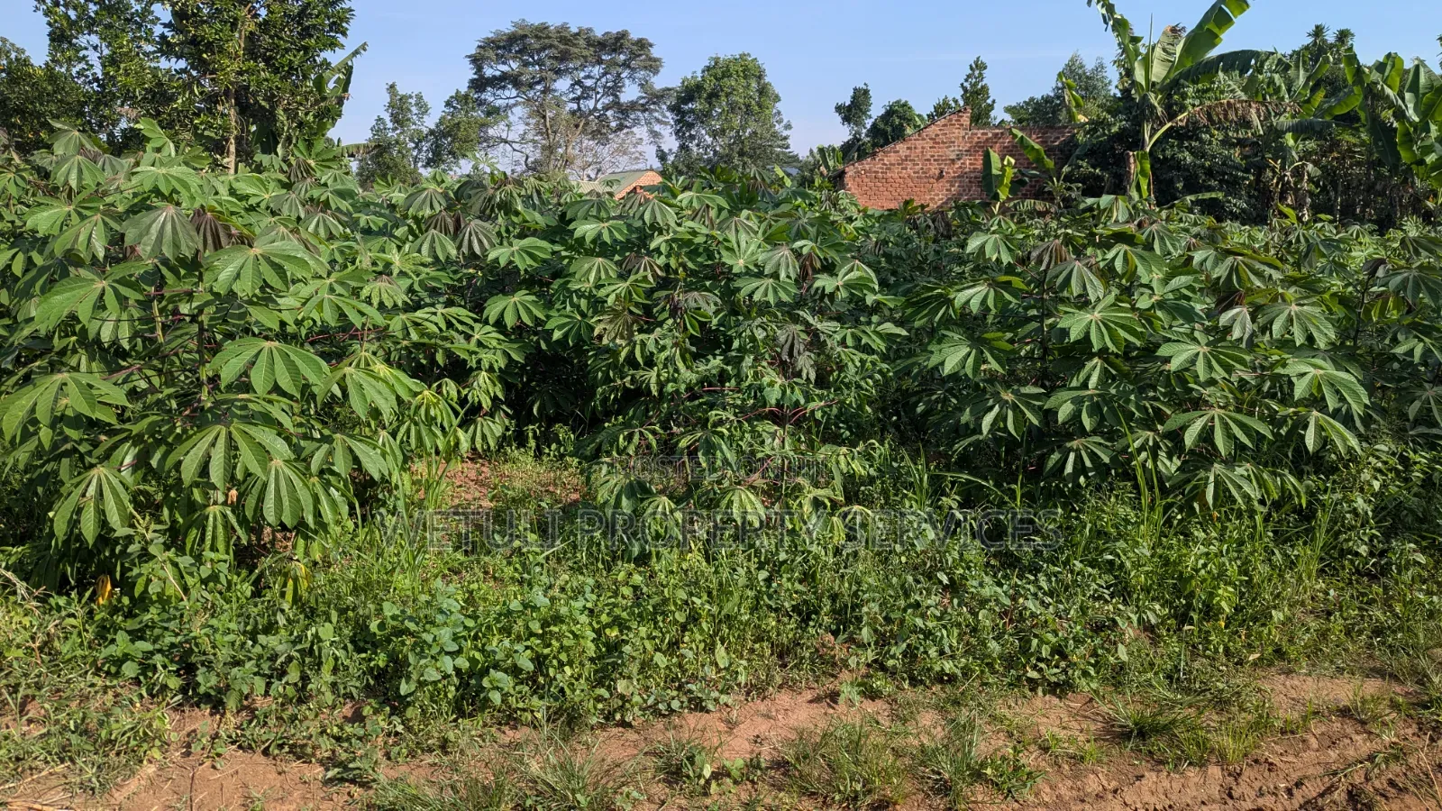 Plot 50x100 for Sale at Wakiso Busawuli