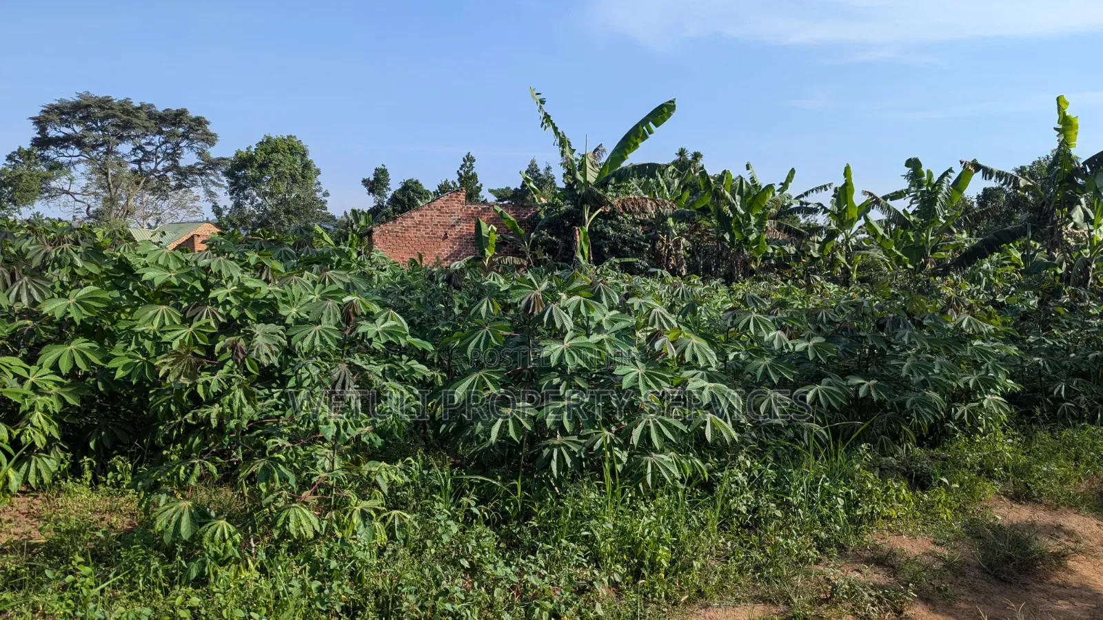 Plot 50x100 for Sale at Wakiso Busawuli