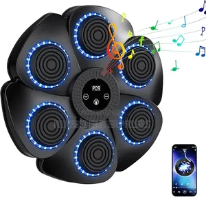 Smart Wall Musical Boxing Machine