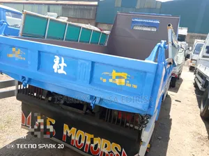 Isuzu Dumper Big Tyre