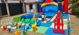 Bouncing Castle
