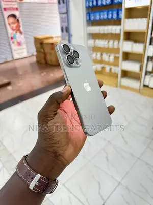 Apple iPhone 15 Pro Max 512 GB Silver