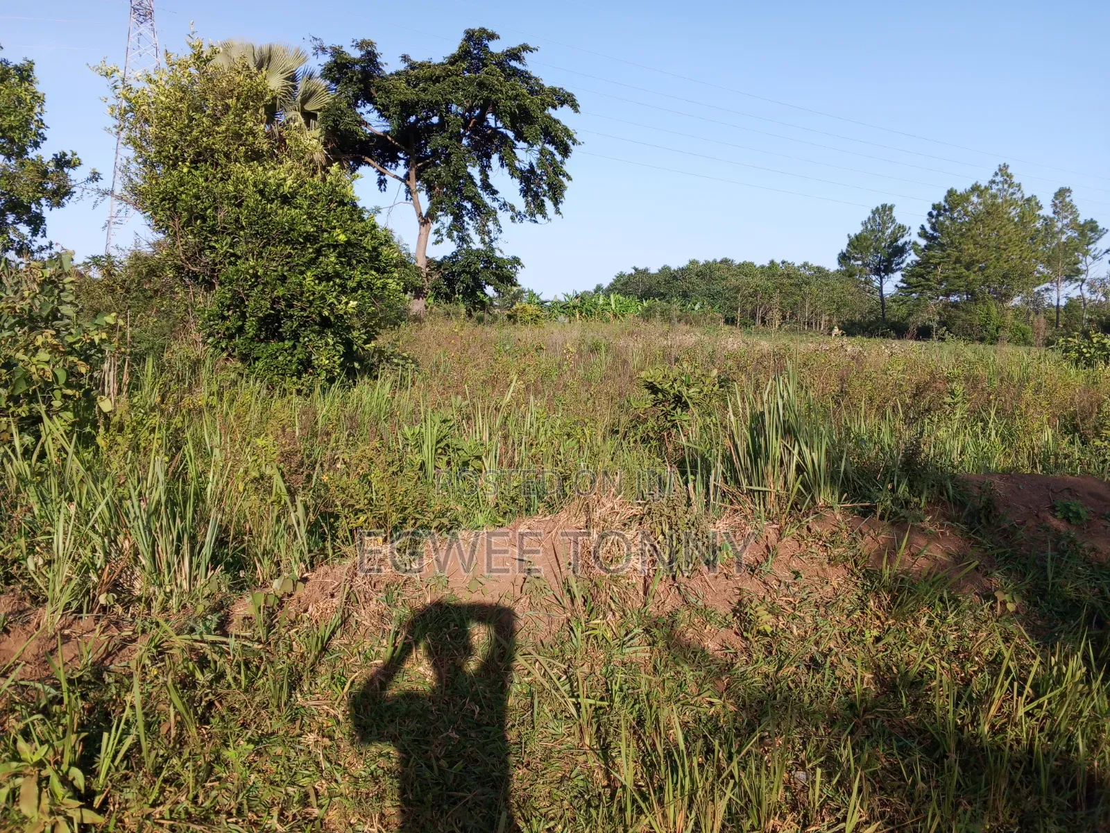 Plot of the Land Is on Quick Sale in Lira