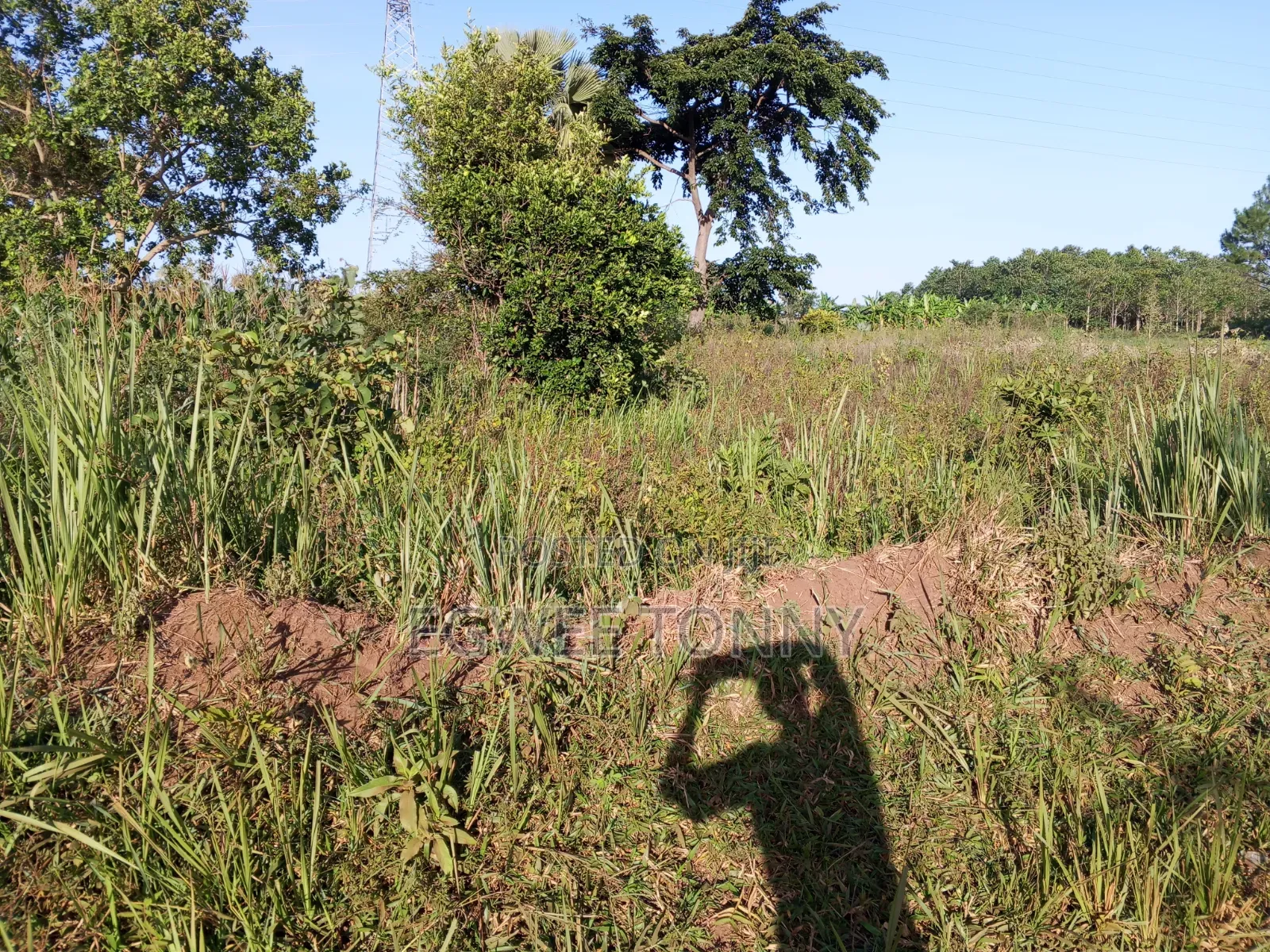 Plot of the Land Is on Quick Sale in Lira
