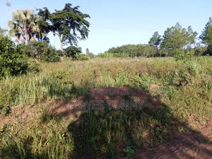 Plot of the Land Is on Quick Sale in Lira