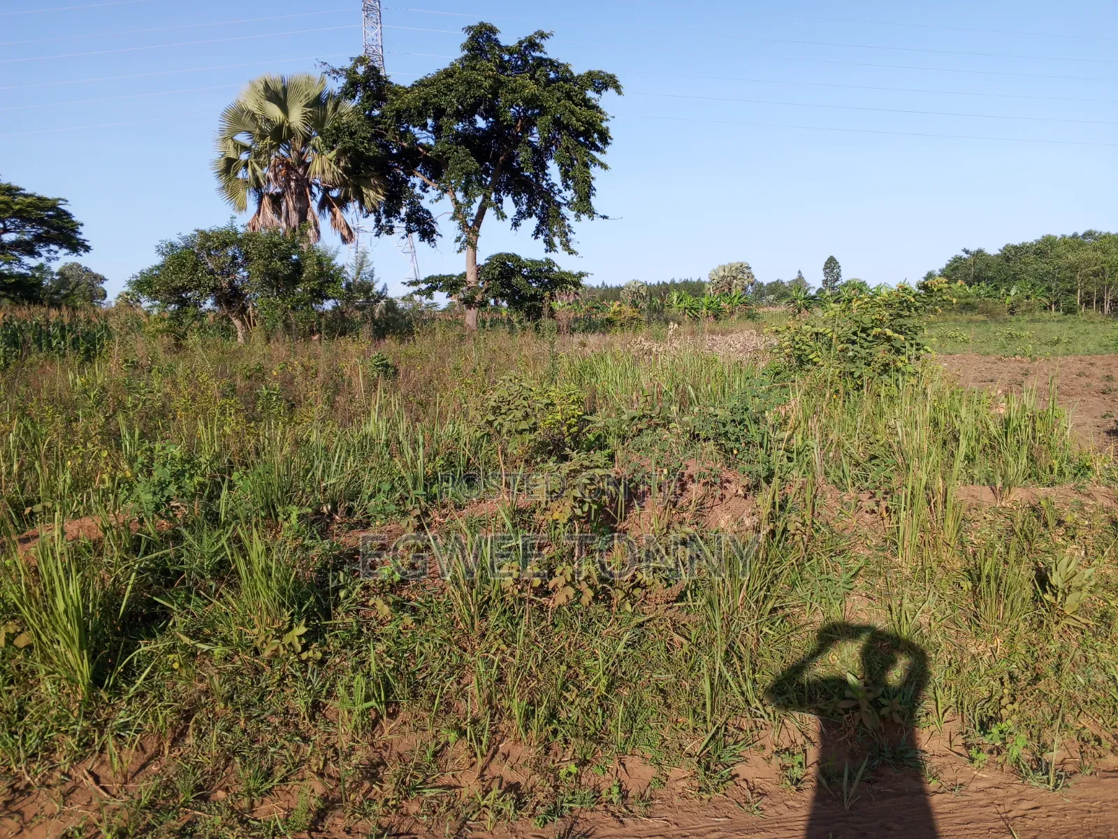 Plot of the Land Is on Quick Sale in Lira