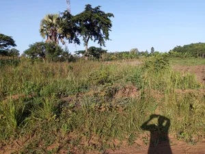 Plot of the Land Is on Quick Sale in Lira