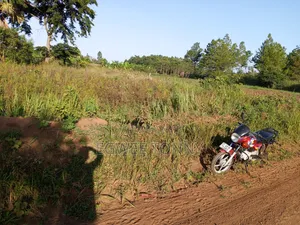 Plot of the Land Is on Quick Sale in Lira