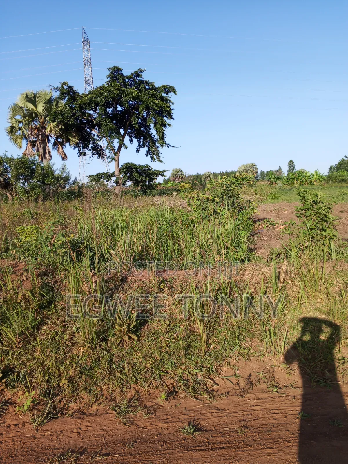 Plot of the Land Is on Quick Sale in Lira