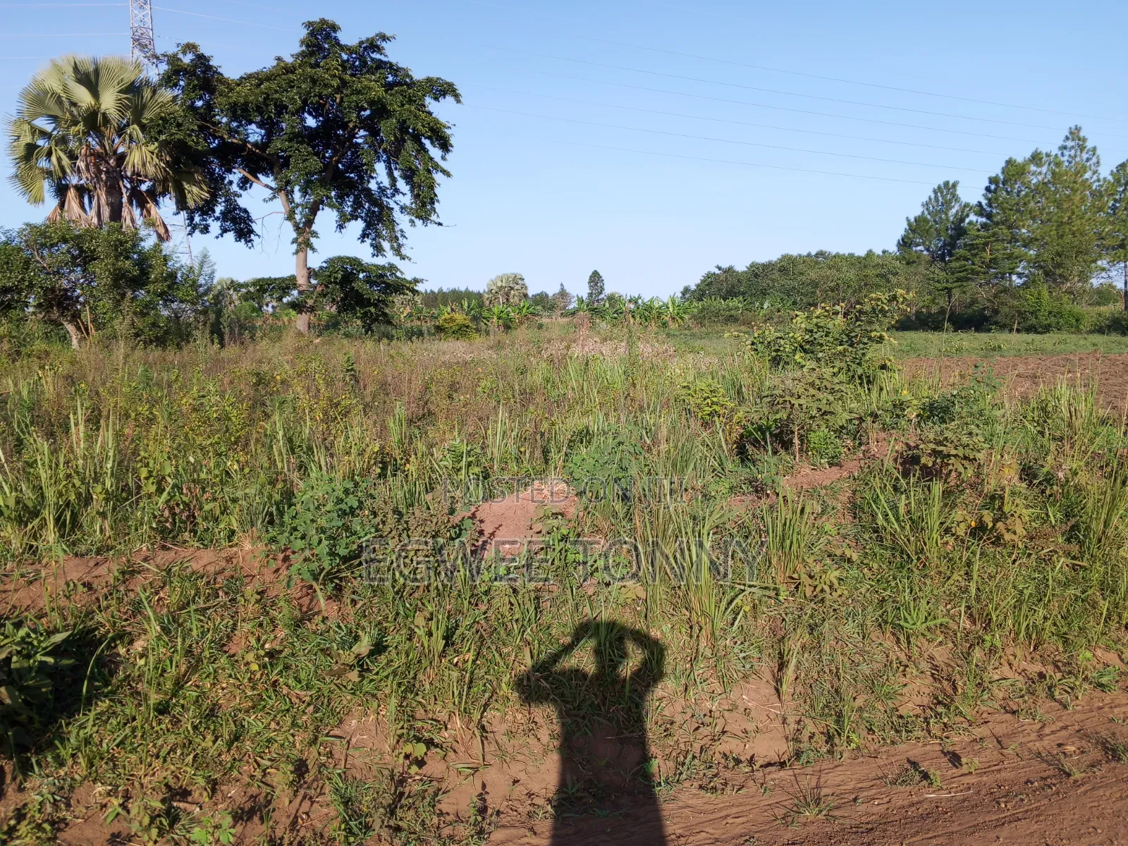 Plot of the Land Is on Quick Sale in Lira
