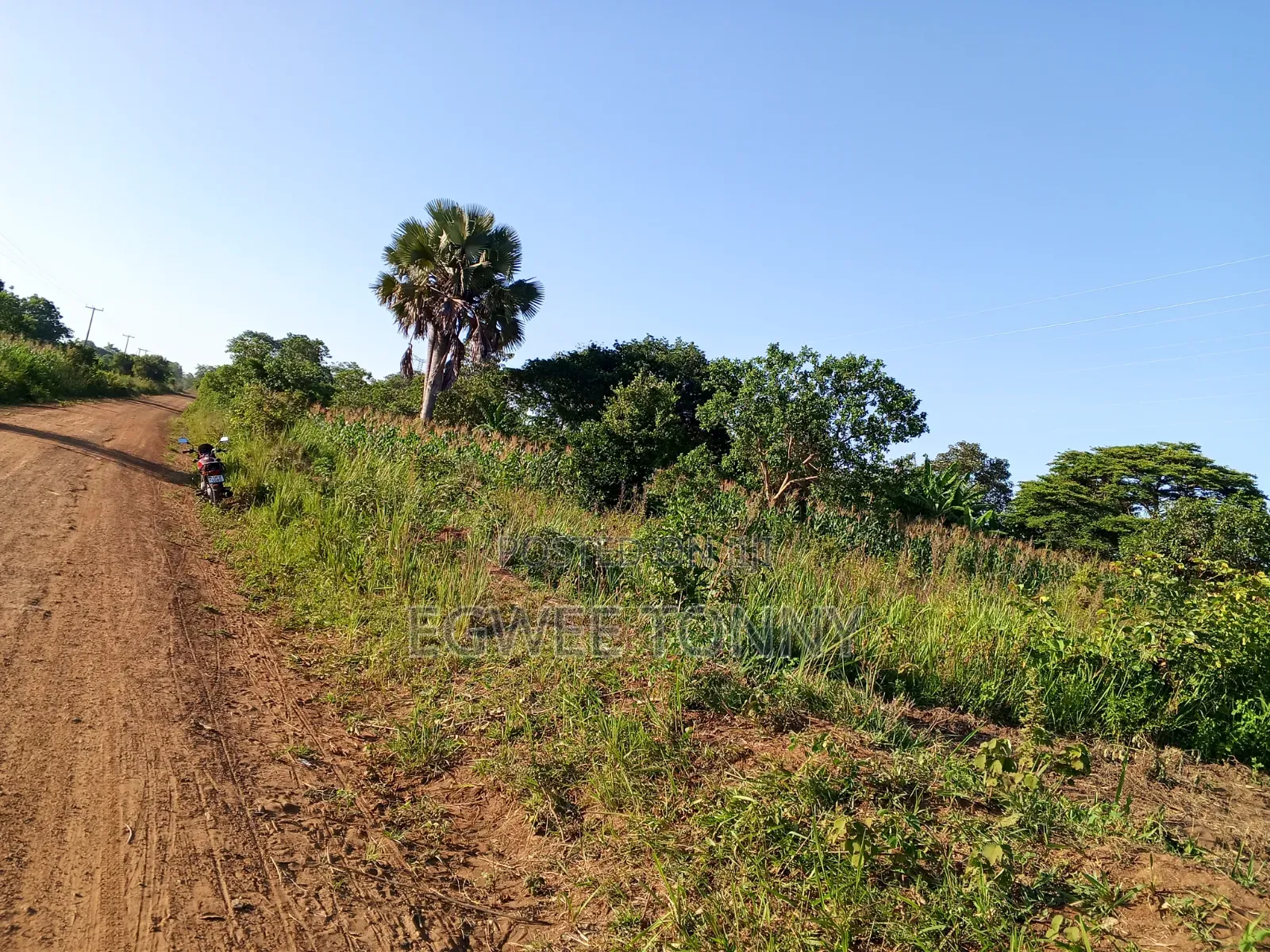 Plot of the Land Is on Quick Sale in Lira