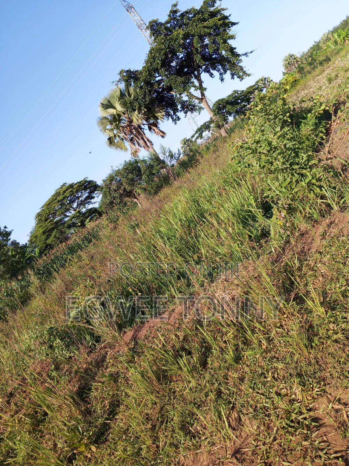 Plot of the Land Is on Quick Sale in Lira