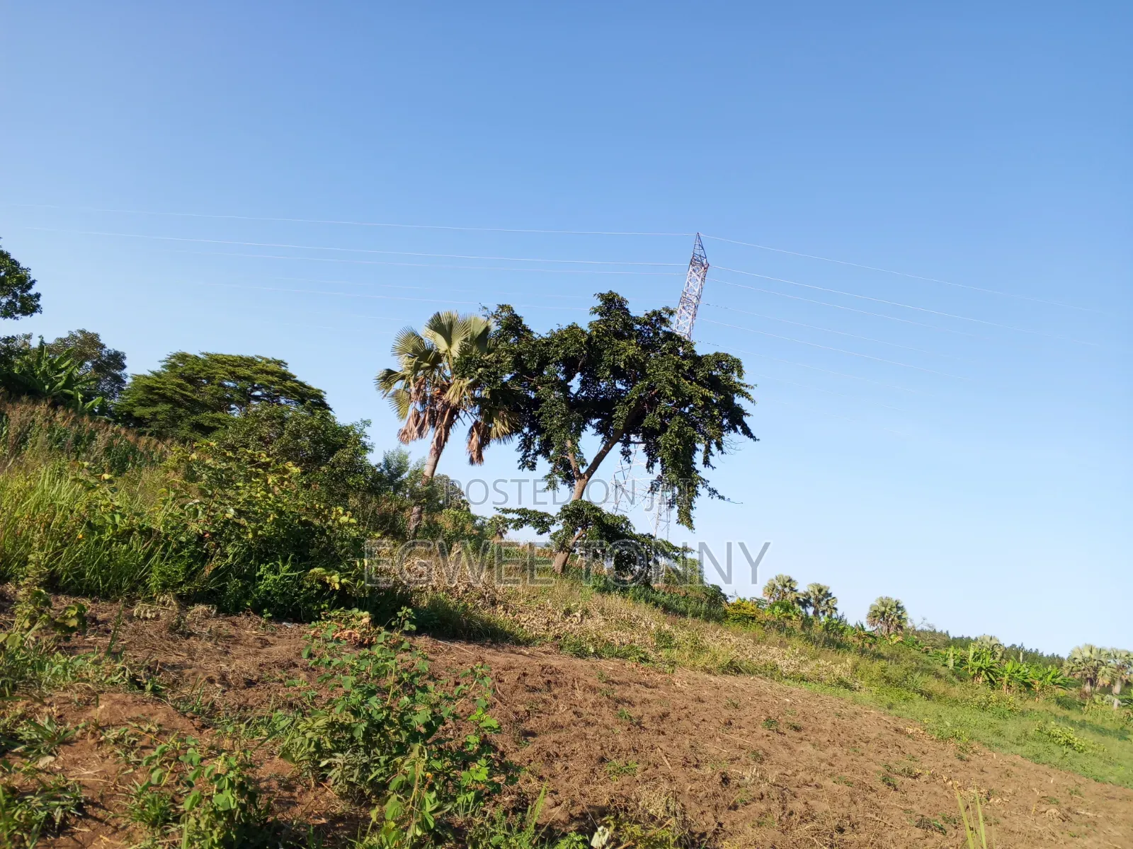 Plot of the Land Is on Quick Sale in Lira