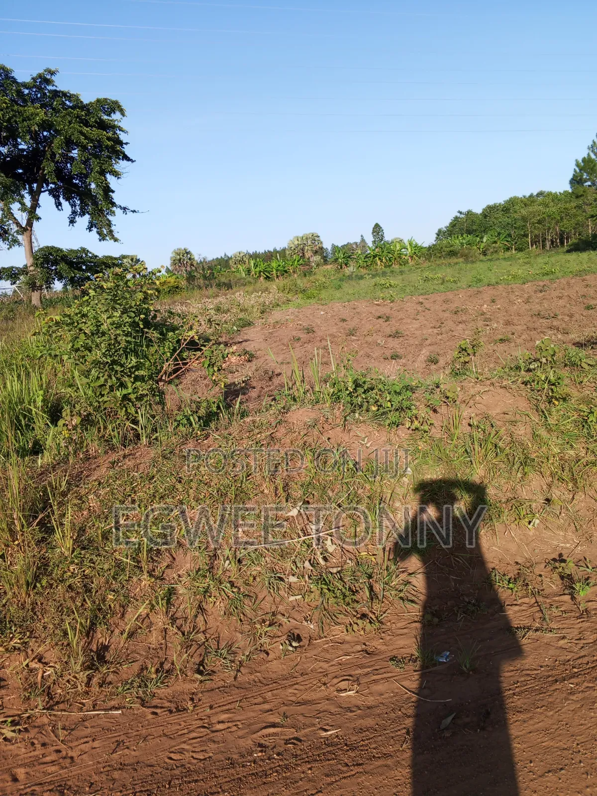 Plot of the Land Is on Quick Sale in Lira