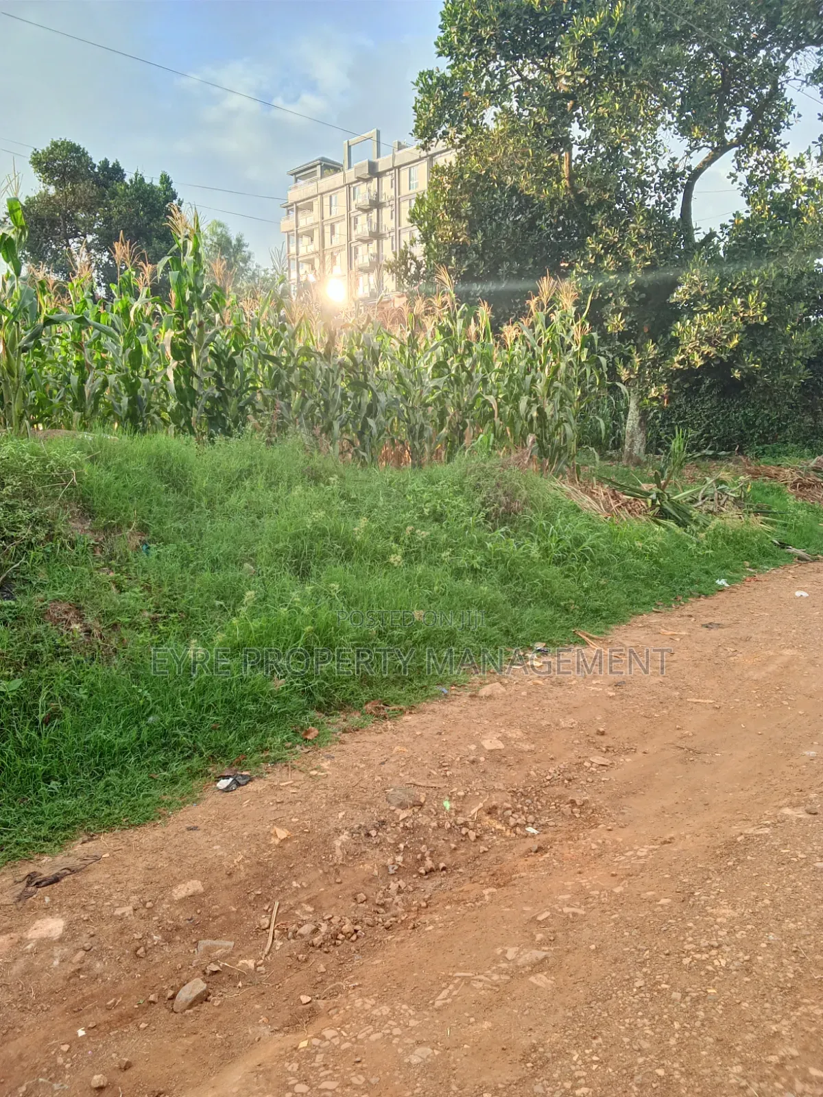 25 Decimals for Sale in Bukoto at 300m