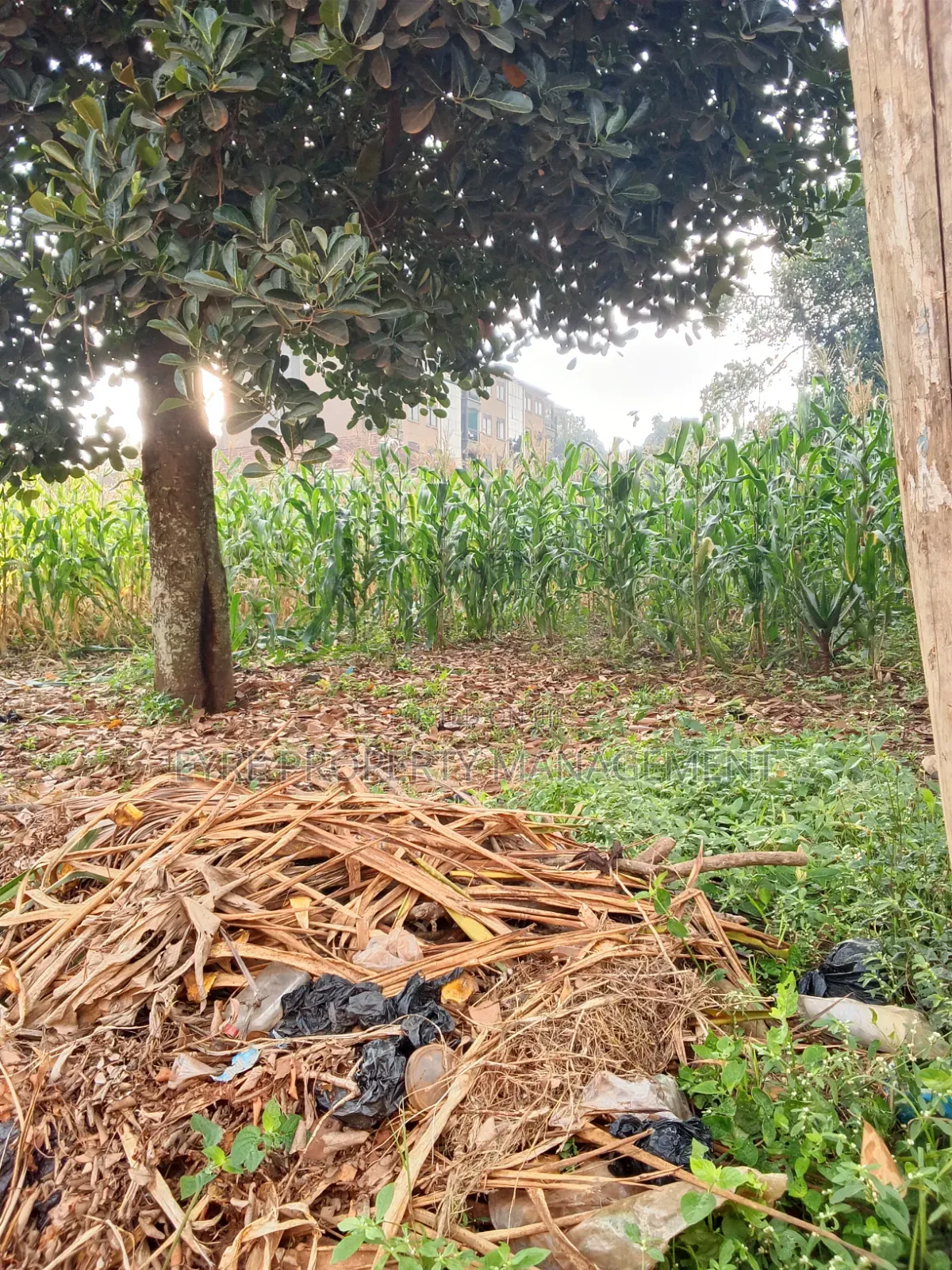 25 Decimals for Sale in Bukoto at 300m